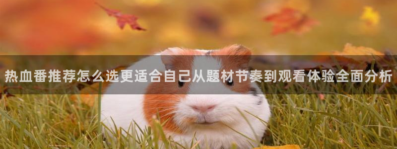 pinkpineapple动漫