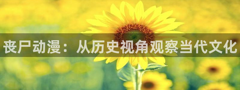 cc看动漫