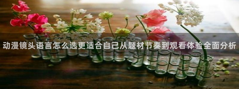 漫岛动漫官网版