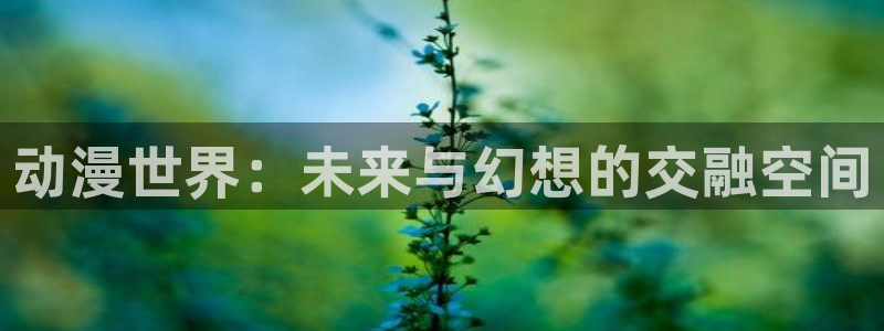 动画推荐:动漫世界:未来与幻想的交融空间