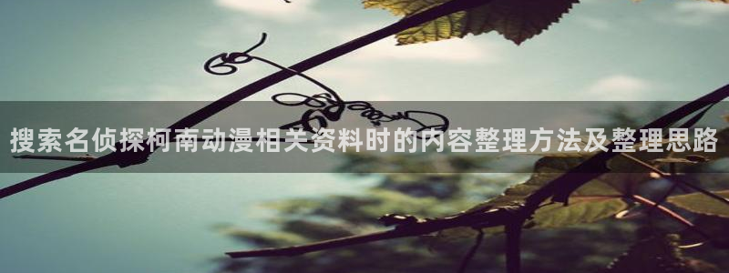 双男主推荐动漫:搜索名侦探柯南动漫相关资料时的内容整理方法及整理思路