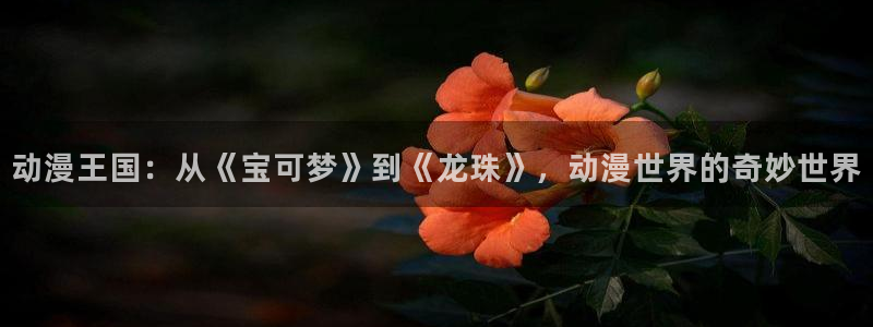 国产动漫推荐:动漫王国:从《宝可梦》到《龙珠》,动漫世界的奇妙世界